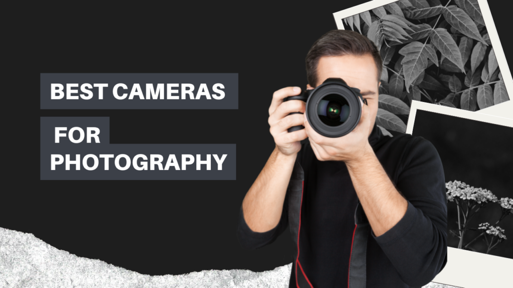 Best Cameras for photography